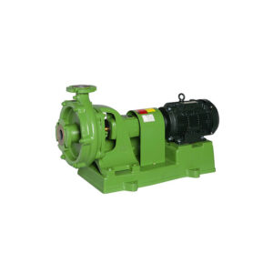 EBARA Slurry Pumps
